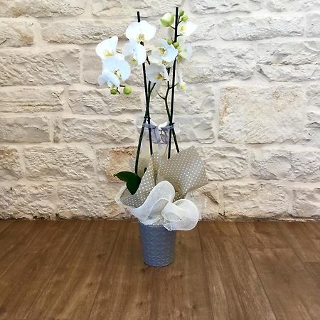 ג'ובינאצו B&B Sant'Agostino מראה חיצוני תמונה